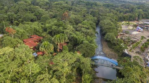 Full Day Jungle at Puyo